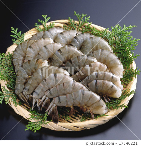 黑虎 黑虎 17540221