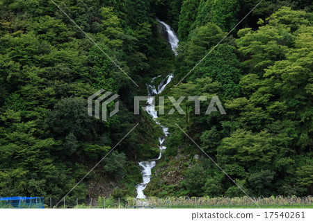 Rennyo Falls 17540261