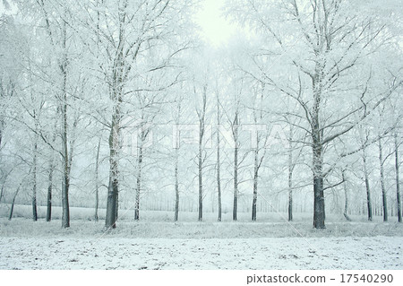 winter landscape nature without people winter landscape nature without people 17540290