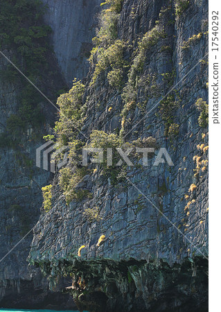 Asia Thailand jungle landscape 17540292