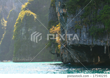 Asia Thailand jungle landscape Asia Thailand jungle landscape 17540295
