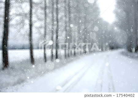 blurred background snowy forest nature park blurred background snowy forest nature park 17540402