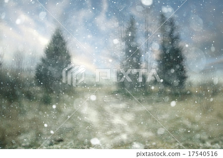 blurred background snowy forest nature park 17540516