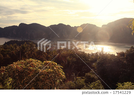 sunset sea beach palms pool 17541229