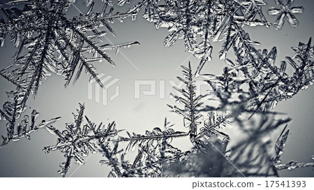 monochrome texture ice monochrome texture ice 17541393