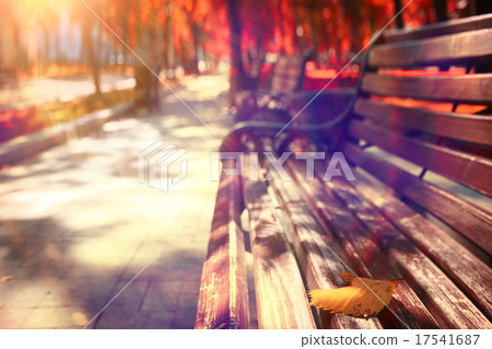 autumn park forest, landscape yellow autumn park forest, landscape yellow 17541687