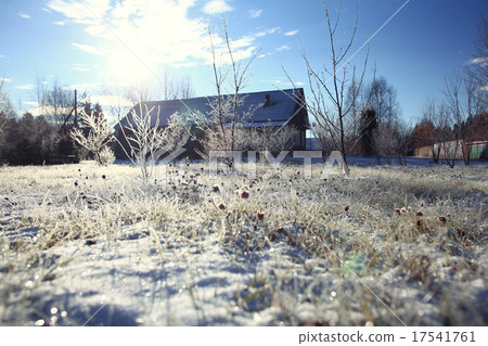 frozen grass with snow and hoarfrost frozen grass with snow and hoarfrost 17541761