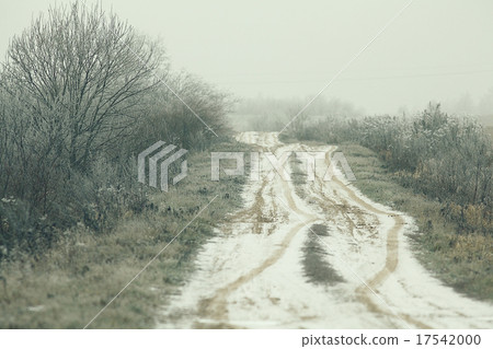 magical winter snow landscape trees snowfall magical winter snow landscape trees snowfall 17542000