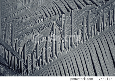 monochrome texture ice monochrome texture ice 17542142