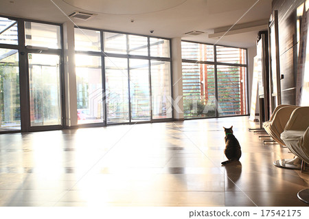 hotel reception morning window hotel reception morning window 17542175