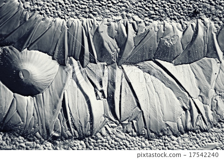 monochrome texture ice monochrome texture ice 17542240