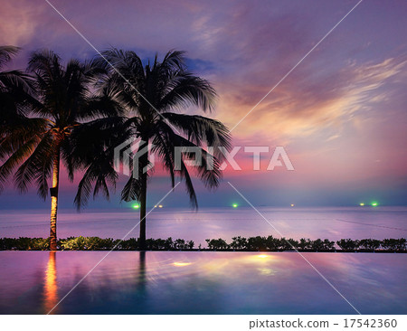 sunset sea beach palms pool 17542360