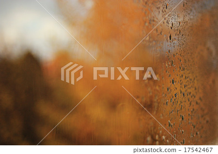 background wet glass drops autumn yellow background wet glass drops autumn yellow 17542467