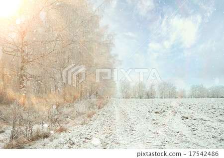 magical winter snow landscape trees snowfall magical winter snow landscape trees snowfall 17542486
