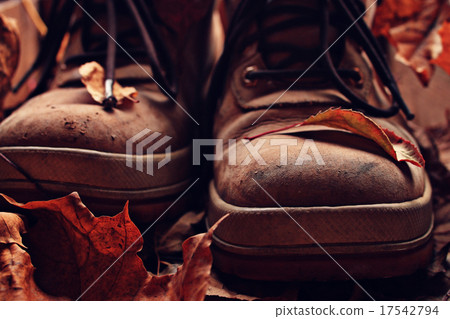 old broken leather shoes autumn leaves tour old broken leather shoes autumn leaves tour 17542794