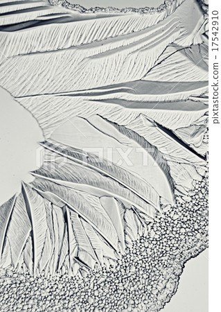 monochrome texture ice monochrome texture ice 17542910