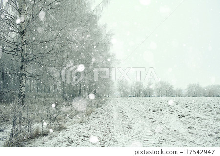 Snowy winter road in a field 17542947