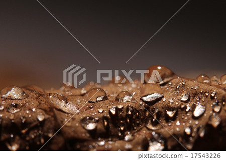 background leaves yellow drops of water background leaves yellow drops of water 17543226