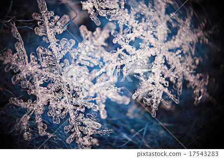snowflake crystal natural snow snowflake crystal natural snow 17543283