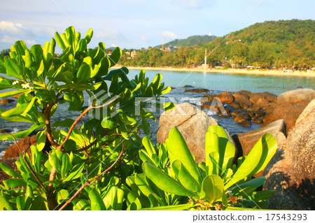 Asia Thailand jungle landscape Asia Thailand jungle landscape 17543293