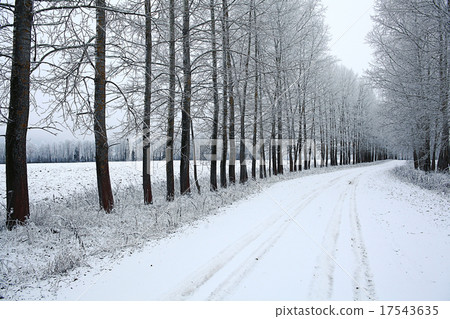 Snowy winter road in a field 17543635