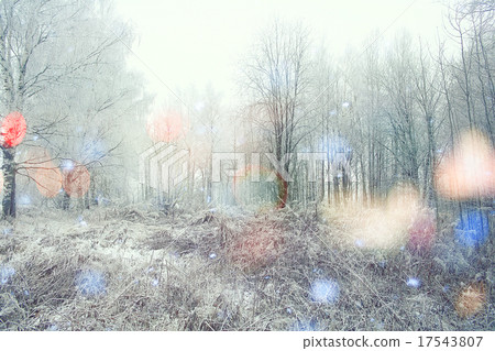 magical winter snow landscape trees snowfall magical winter snow landscape trees snowfall 17543807