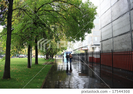 city ??autumn leaves background 17544308