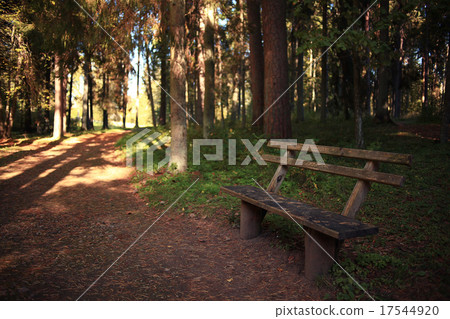 garden bench in autumn park landscape 17544920