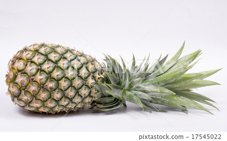 Fresh whole pineapple Fresh whole pineapple 17545022