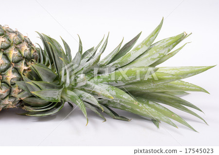 Fresh whole pineapple Fresh whole pineapple 17545023