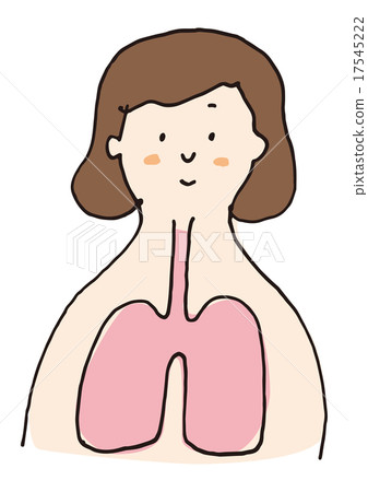 Healthy lung women 17545222