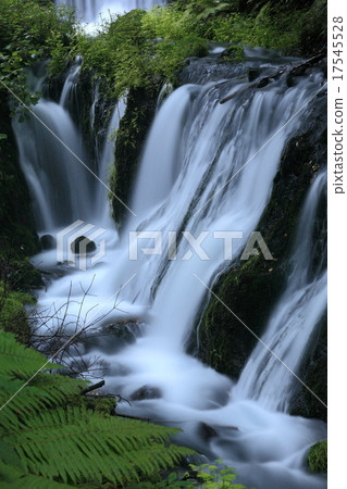Shiraito Falls Shiraito Falls 17545528