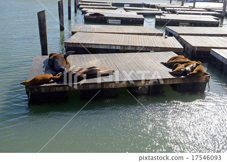 America San Francisco Pier 39 17546093