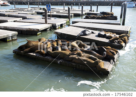 America San Francisco Pier 39 17546102