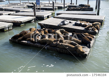 America San Francisco Pier 39 17546104