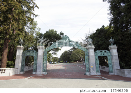 California State University of California, USA California State University of California, USA 17546296