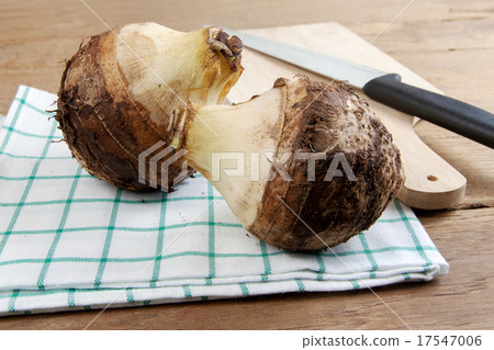 taro 17547006