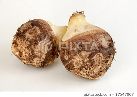 Taro on white background Taro on white background 17547007