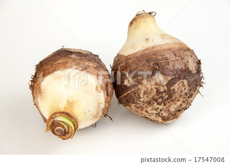 Taro on white background Taro on white background 17547008