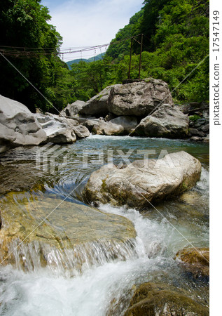 Stream of Okutama (vertical) Stream of Okutama (vertical) 17547149