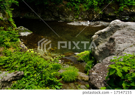 Okutama's clean water 17547155