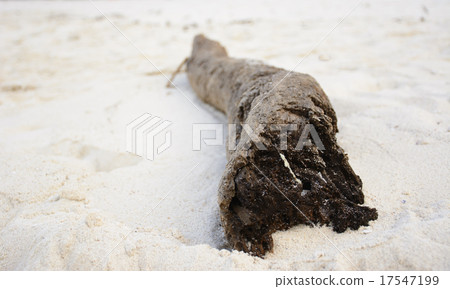 Timber on a white sandy beach 17547199
