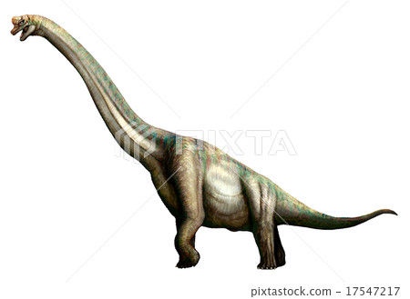 龍塔 龍塔 17547217