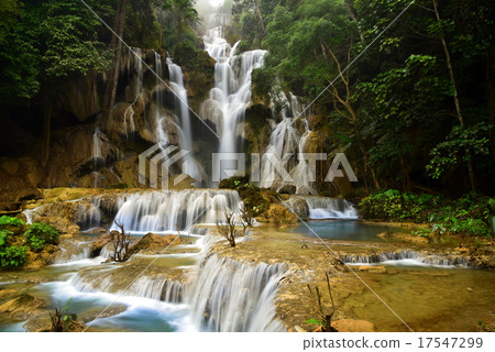 Kuang Si Waterfall, Luang prabang, Laos 17547299