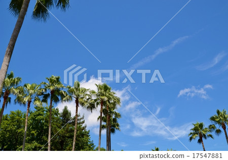 南方國家形象 南方國家形象 17547881