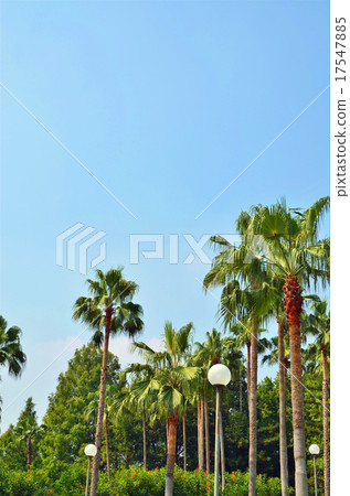 南方國家形象 南方國家形象 17547885