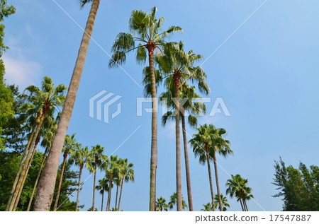 南方國家形象 南方國家形象 17547887