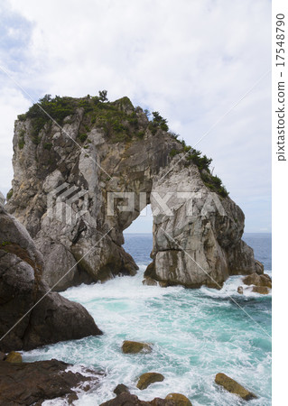 白色岩石和白崎海岸的波浪 17548790