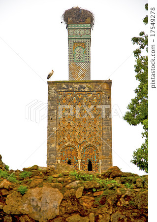 chellah in africa the deteriorated chellah in africa the deteriorated 17549278
