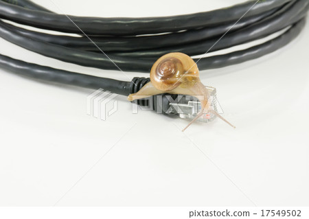 Slowly internet like snail concept 17549502